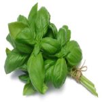 رابطة ريحان فريش