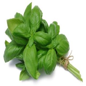 رابطة ريحان فريش